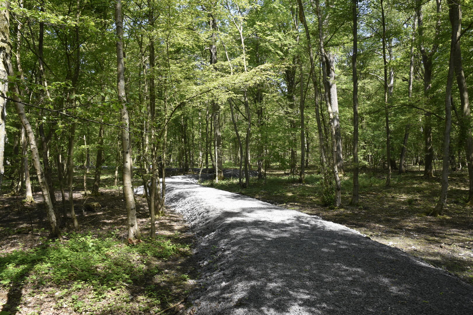 2021-05-29-bois-d-epinoy-13-_1