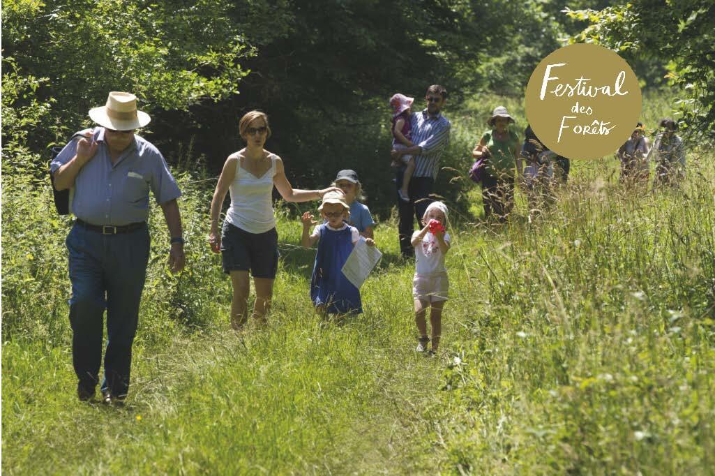 22 juin, Bain de forêt musical spécial famille, ©A-S Flament