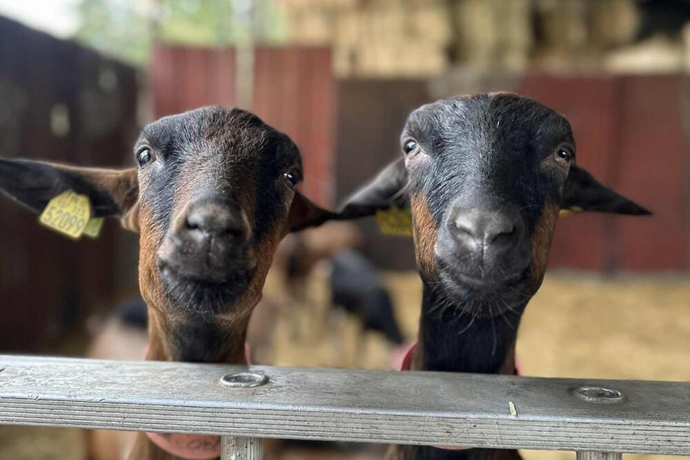 Ferme du Val Vermand