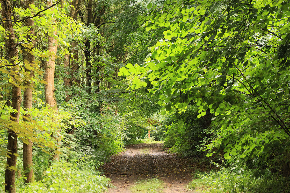 35.bois-durieux-29.07_1