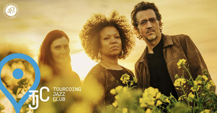 LOTUS FLOWERS TRIO_1