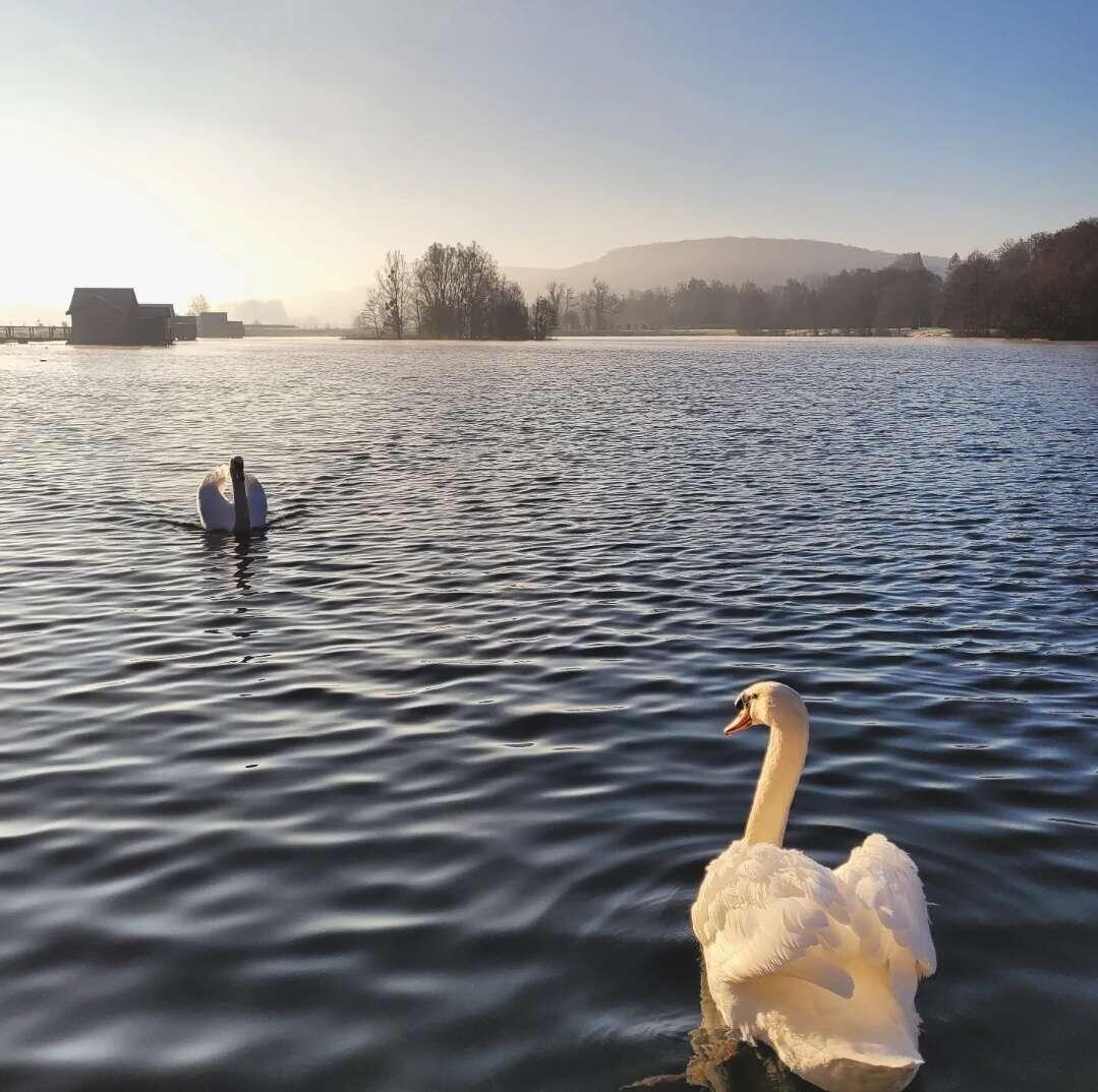 330190031_892243042099152_1284367702396888792_n