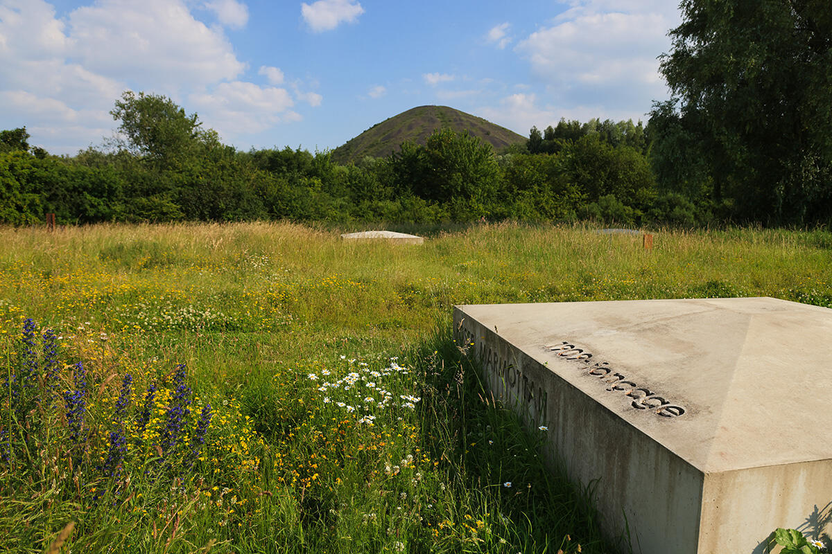 46.terrils-du-pays-a-part-19.04_1