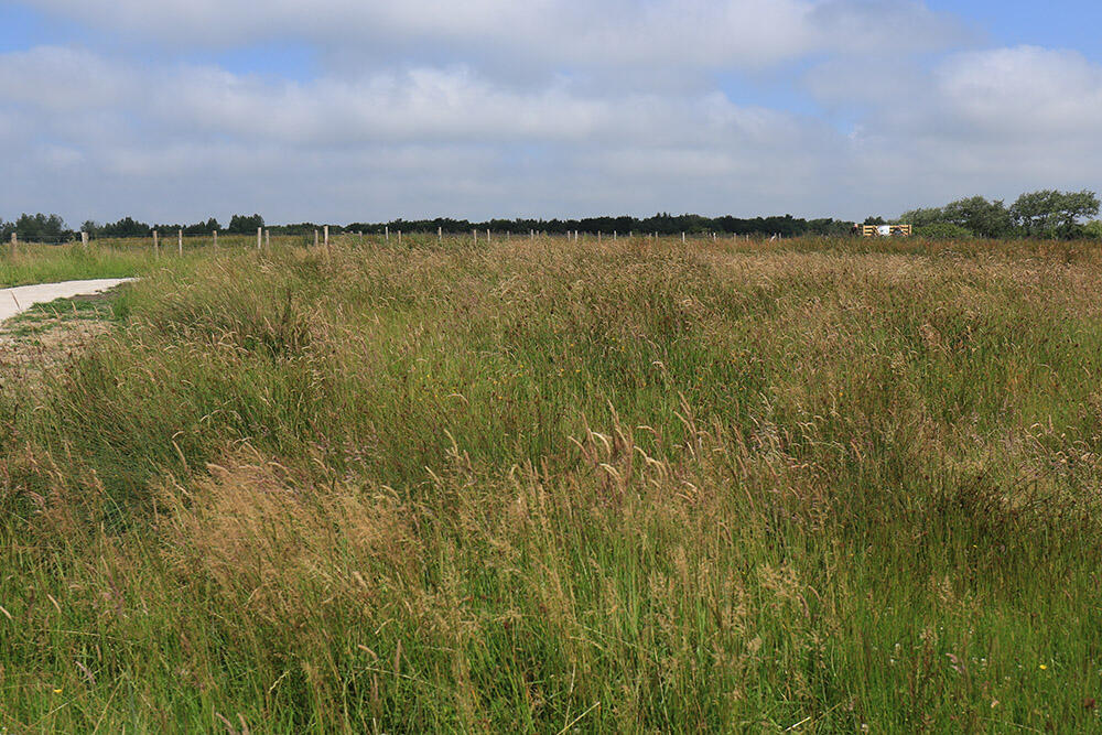 48.communal-hardinghen-22.04_1