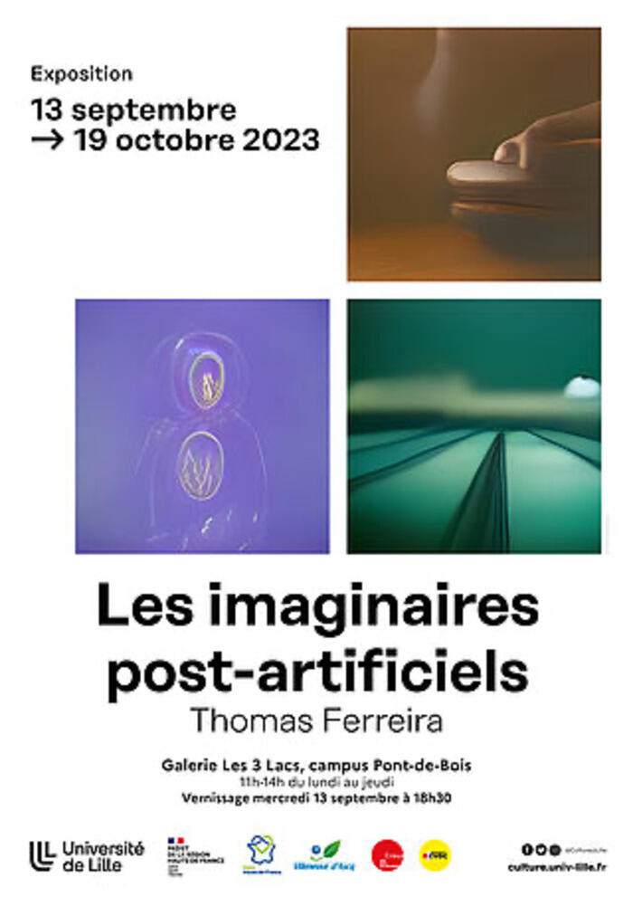 Exposition : Les imaginaires post-artificiels - Thomas Ferreira_1
