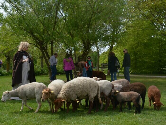 Tonds ton mouton_1