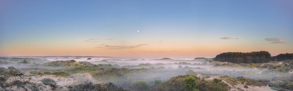 58.baie-de-canche-26.04_1