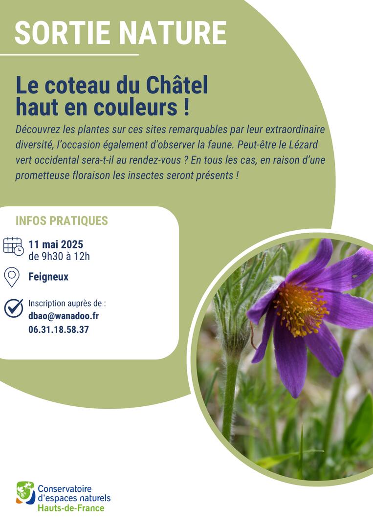 Sorties nature HDF - 5