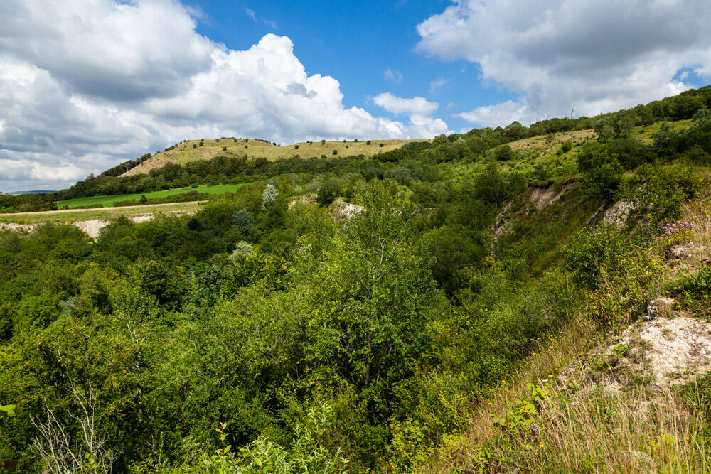 50-mont-pele-hulin-11.08_1