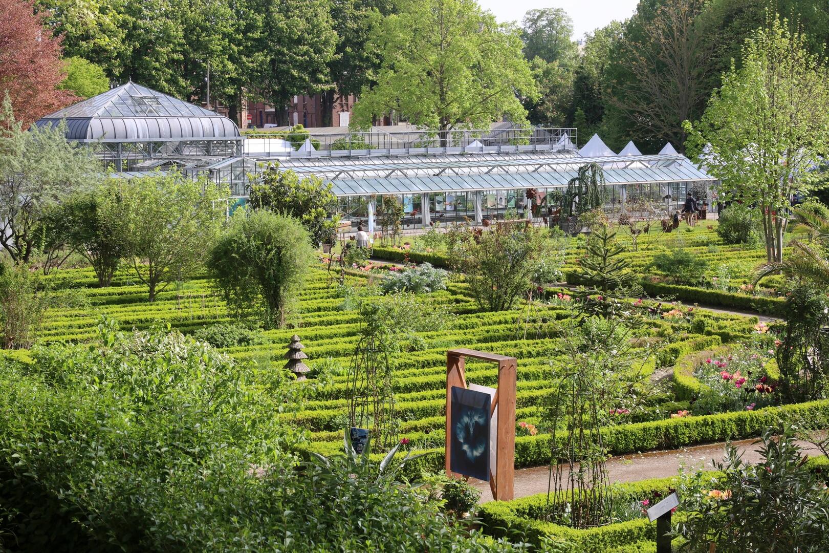 526512102_1183077530511530_6843032719175324155_n