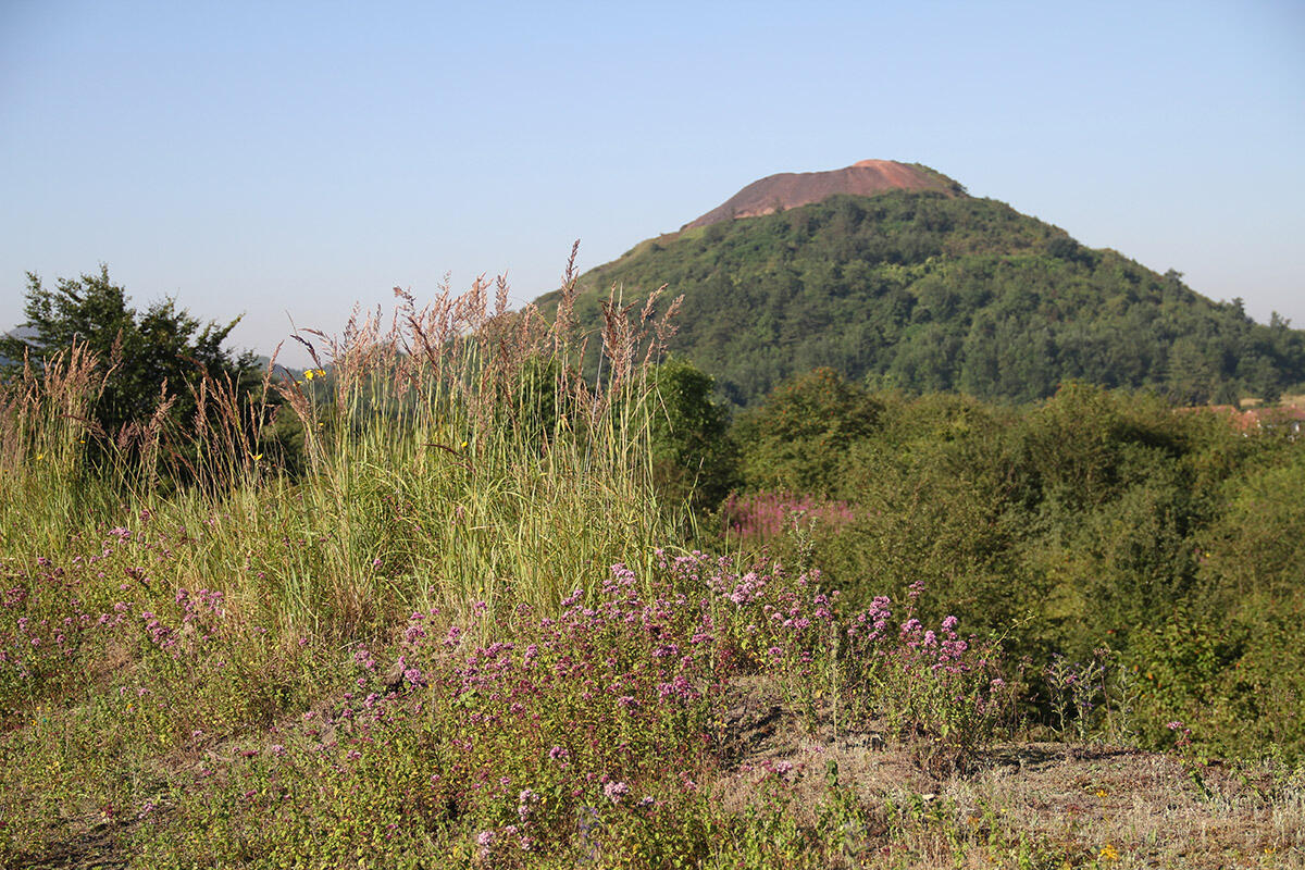 67.terrils-des-falandes-28.08_1