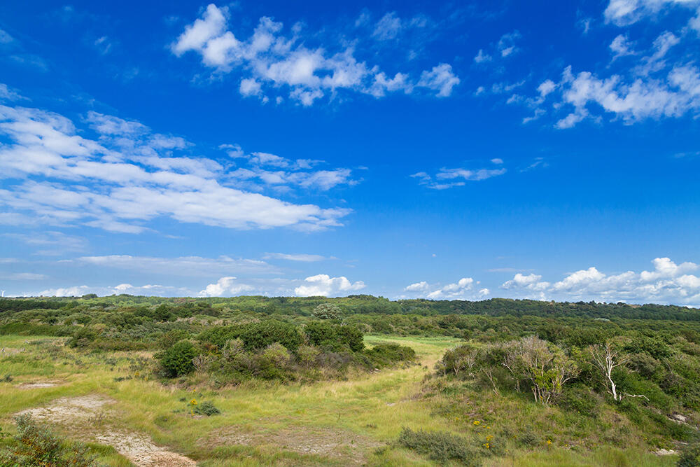 74.baie-de-canche-31.05_1