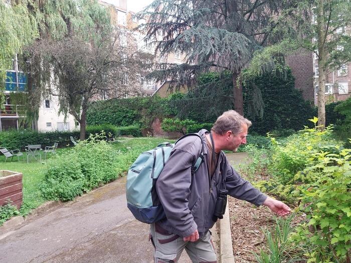 Balade nature / votre quartier en été_1