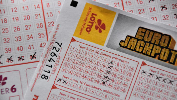 Animation : « Biblio Loto »_1