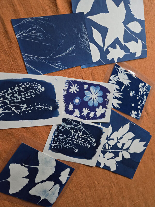 800x600_image-cyanotype-13164