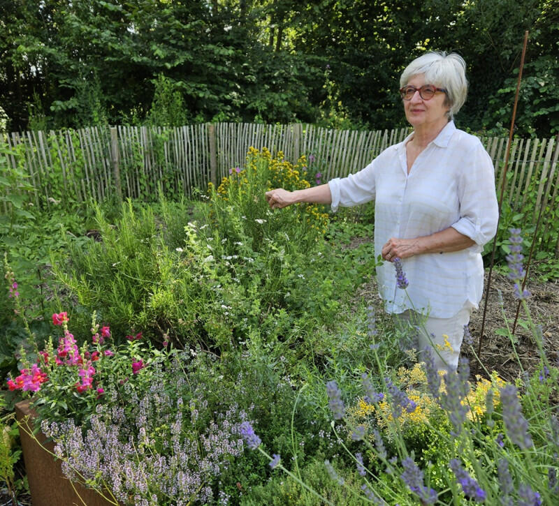 800x600_les-plantes-du-moulin-pitgam-mme-coppe-2-13002