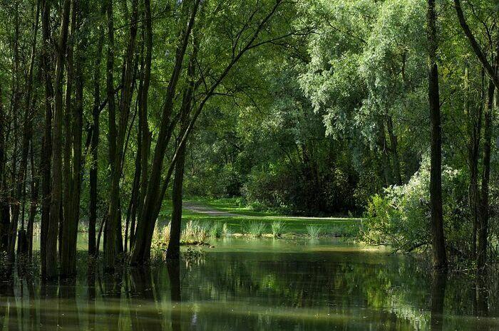 Balade naturaliste : le musée de la nature_1