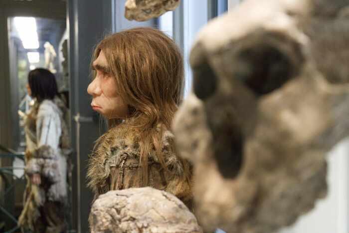 Les petits labos du Musée - Enquête Néandertal  / Fabrique du Sud_1