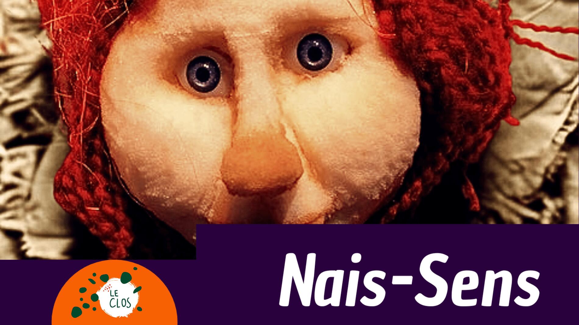 Nais-Sens spectacle de marionnettes