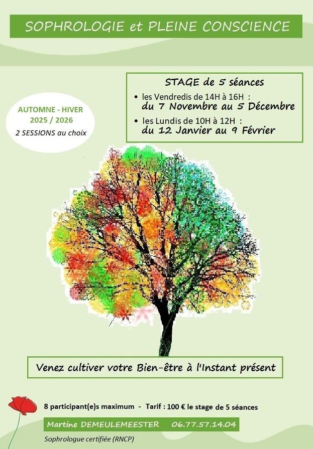 Stage sophrologie.jpg