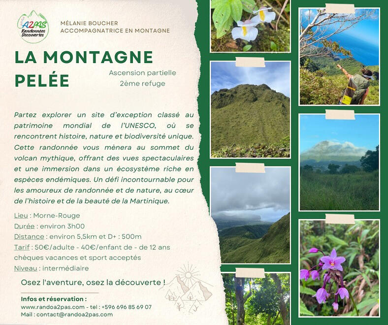 850706_504358990_18017642318734083_5597090791000006929_n copie.jpg