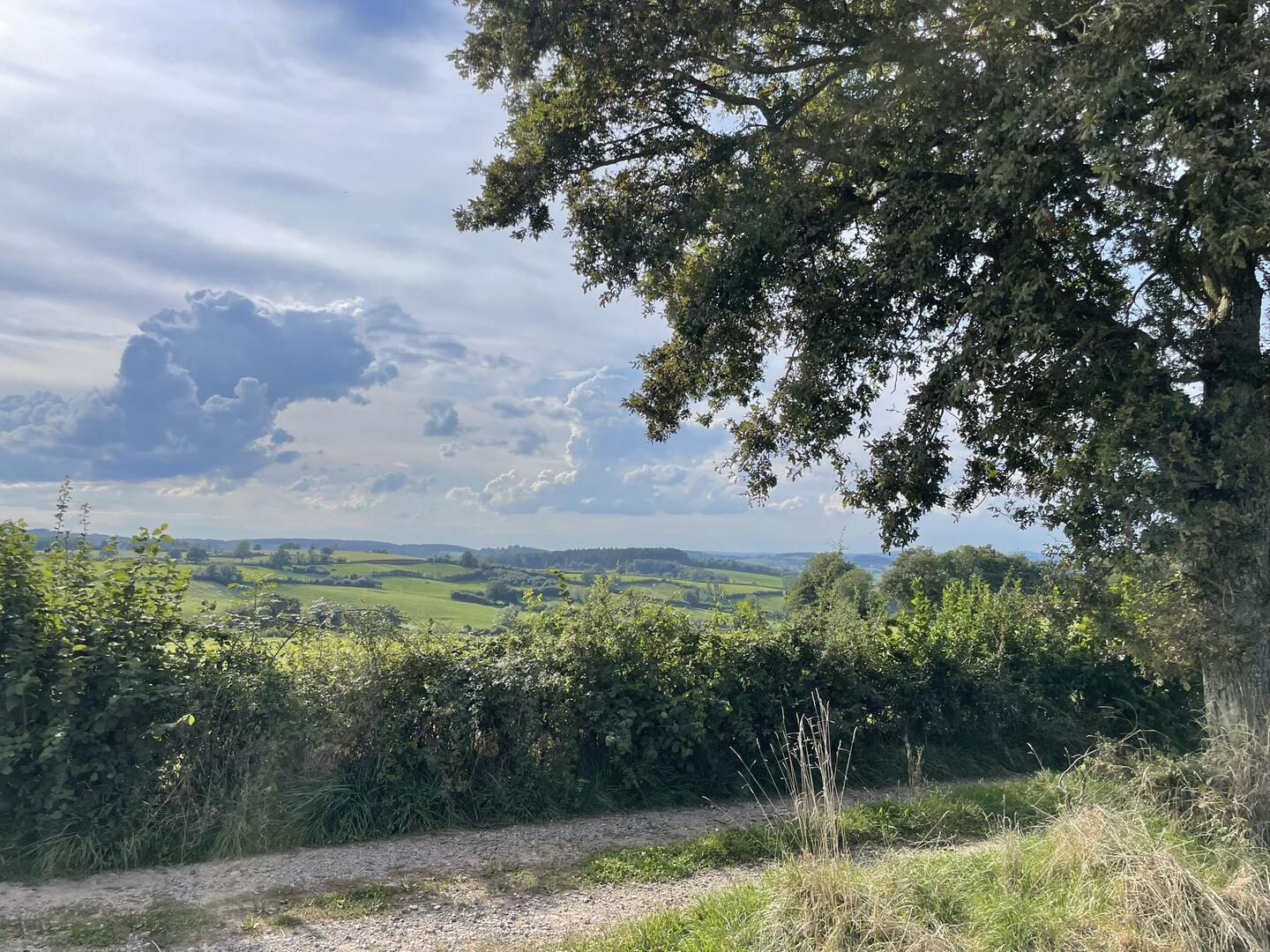 BV AMSV25 saint micuad © Cindy JAUBERT (47).JPEG