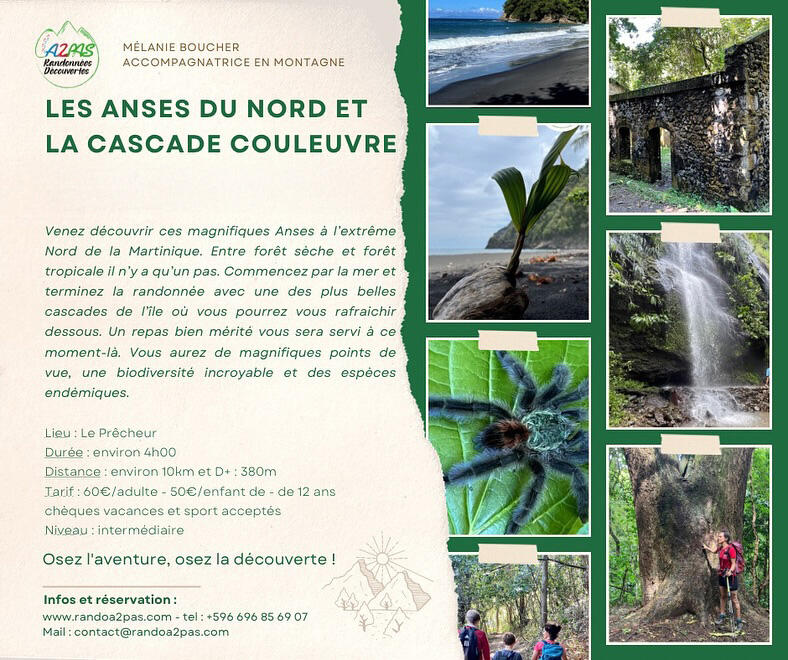 850700_514064663_18017642276734083_7621787405908481102_n copie.jpg