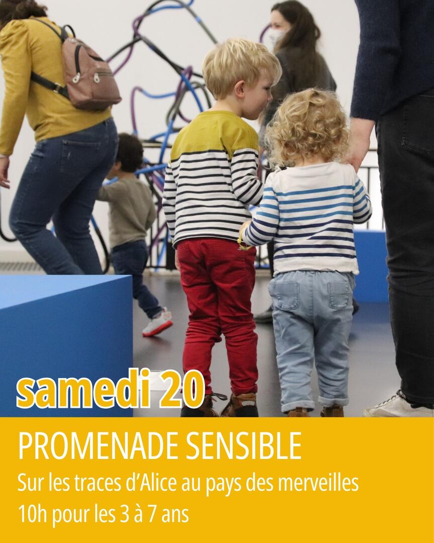 Promenade sensible - 20 décembre.jpg