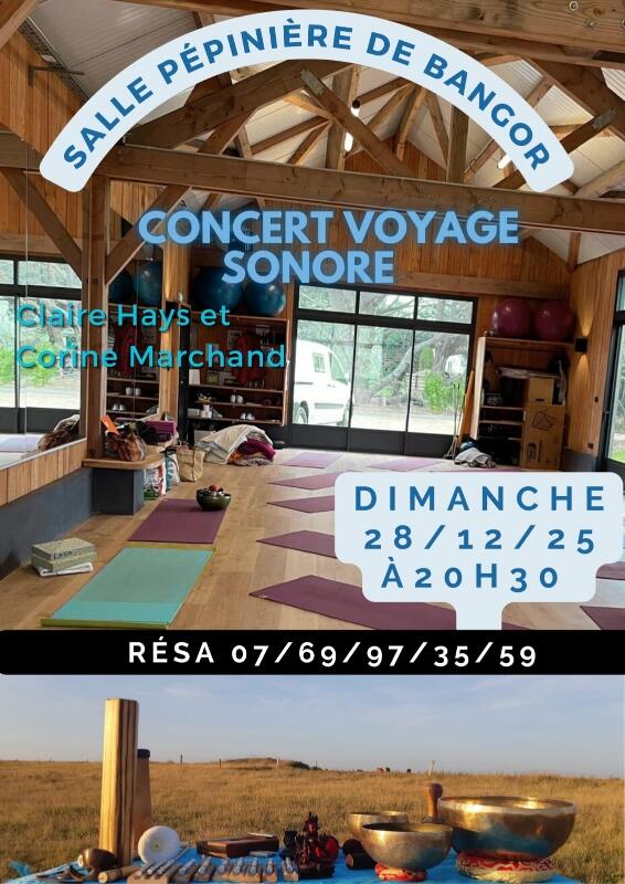 concert voyage sonore.jpg