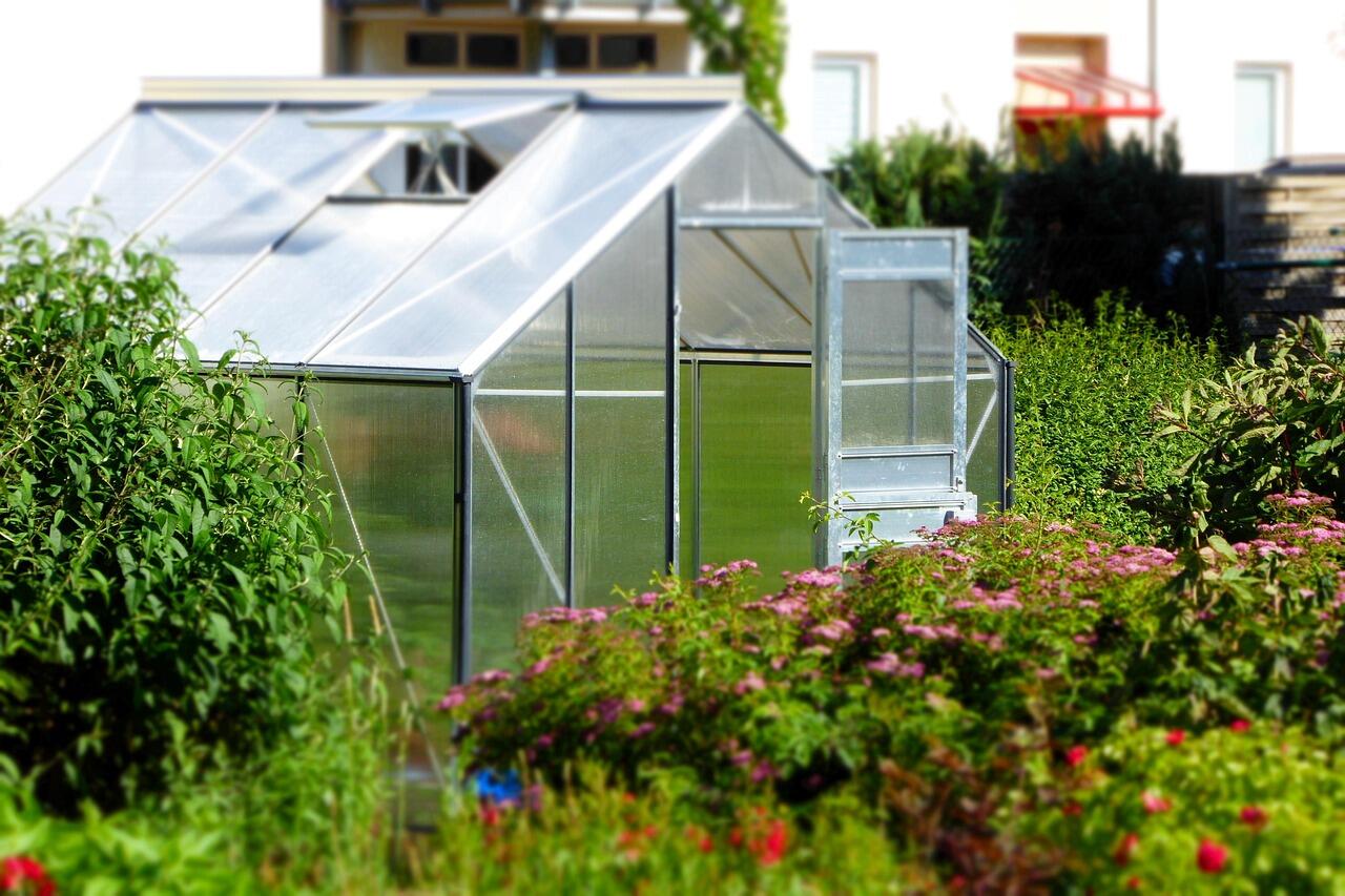 greenhouse-827464_1280.jpg