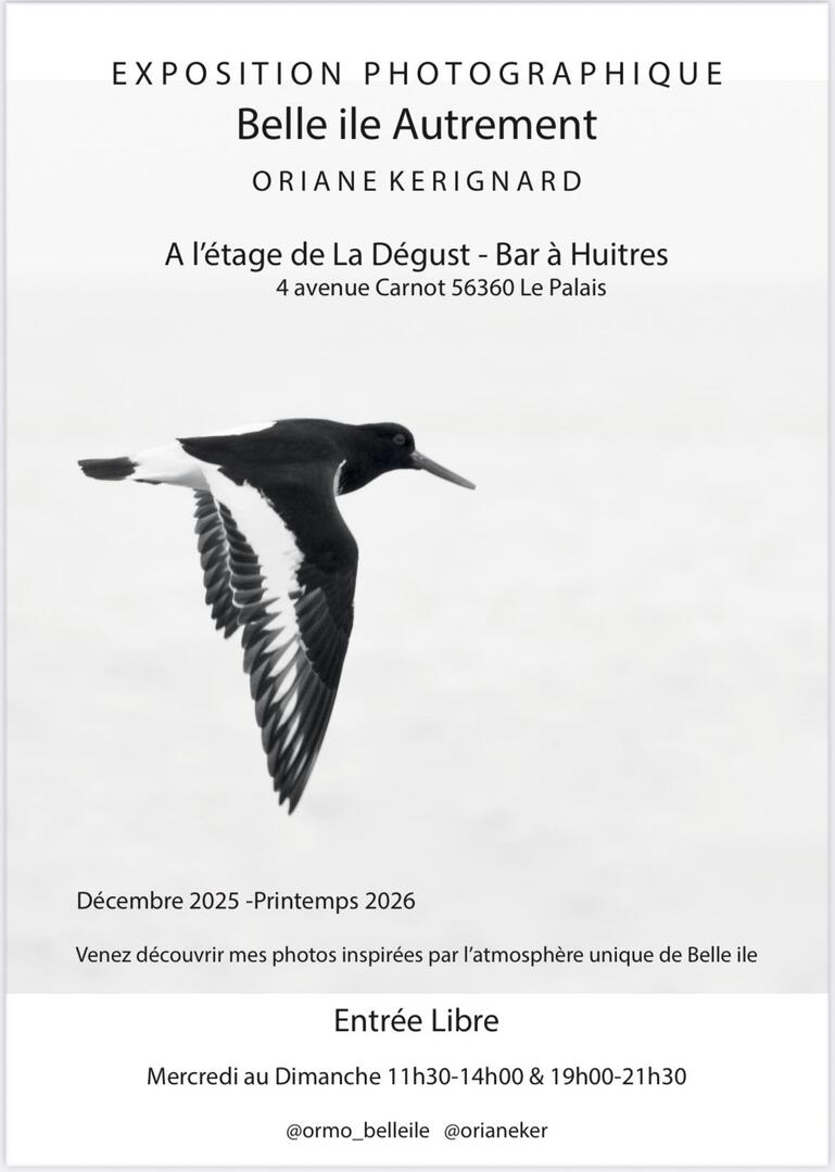 Exposition Oriane Kerignard - La Dégust.jpg