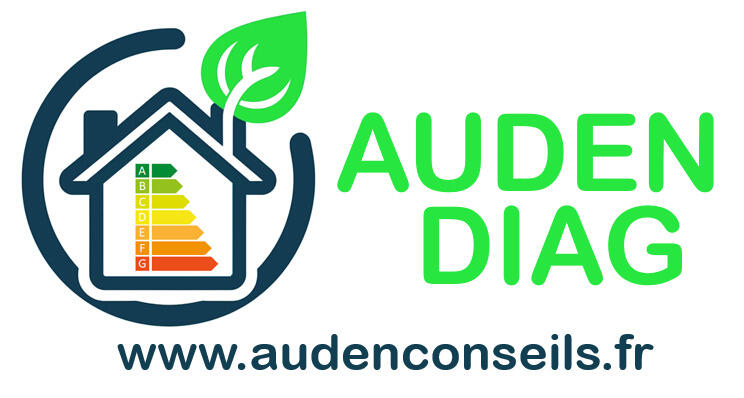 logo AUDEN stade rochelais.jpg