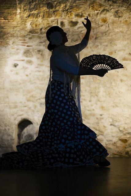 flamenco-1046485_640.jpg