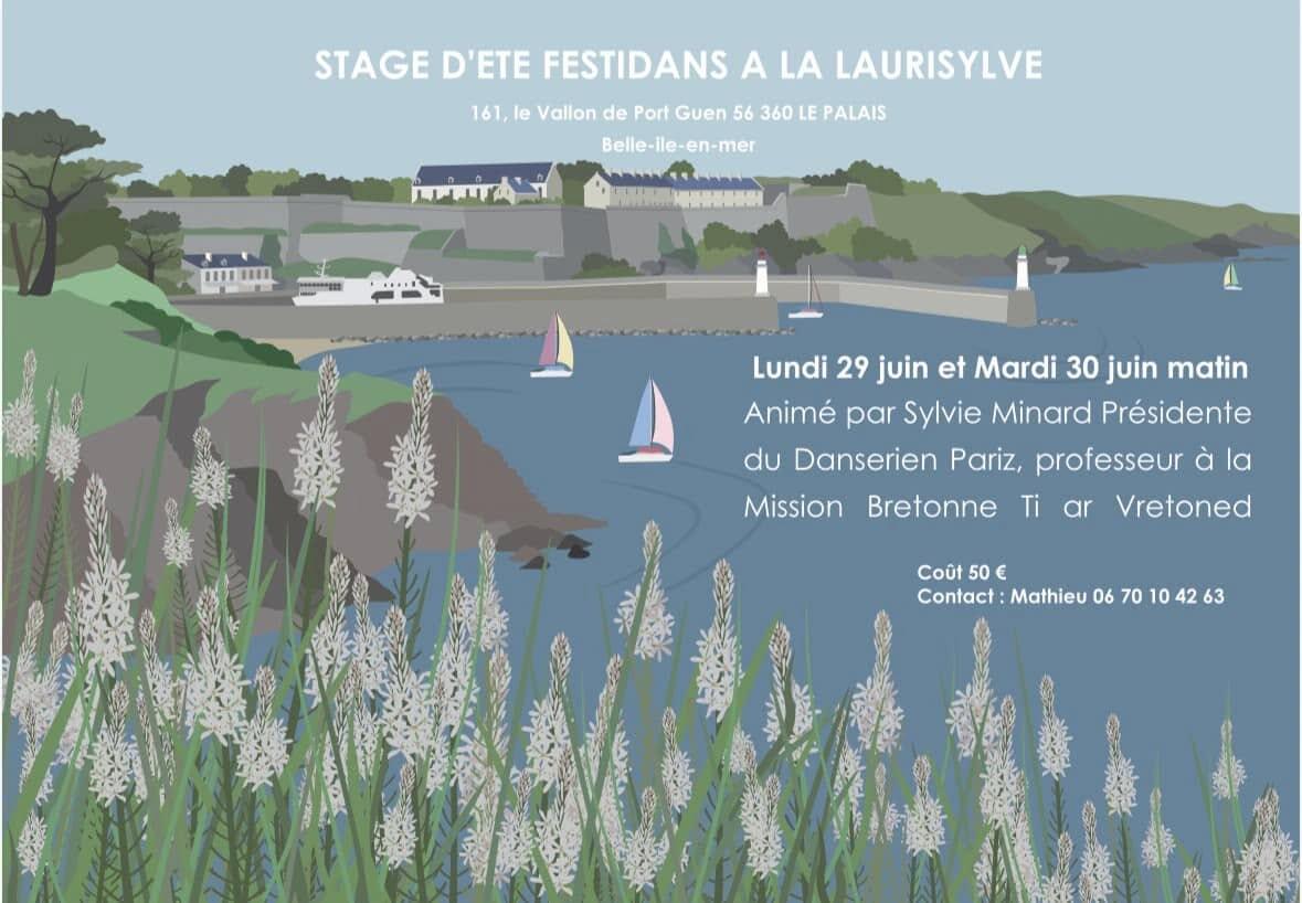 stage d'été festidans.jpg