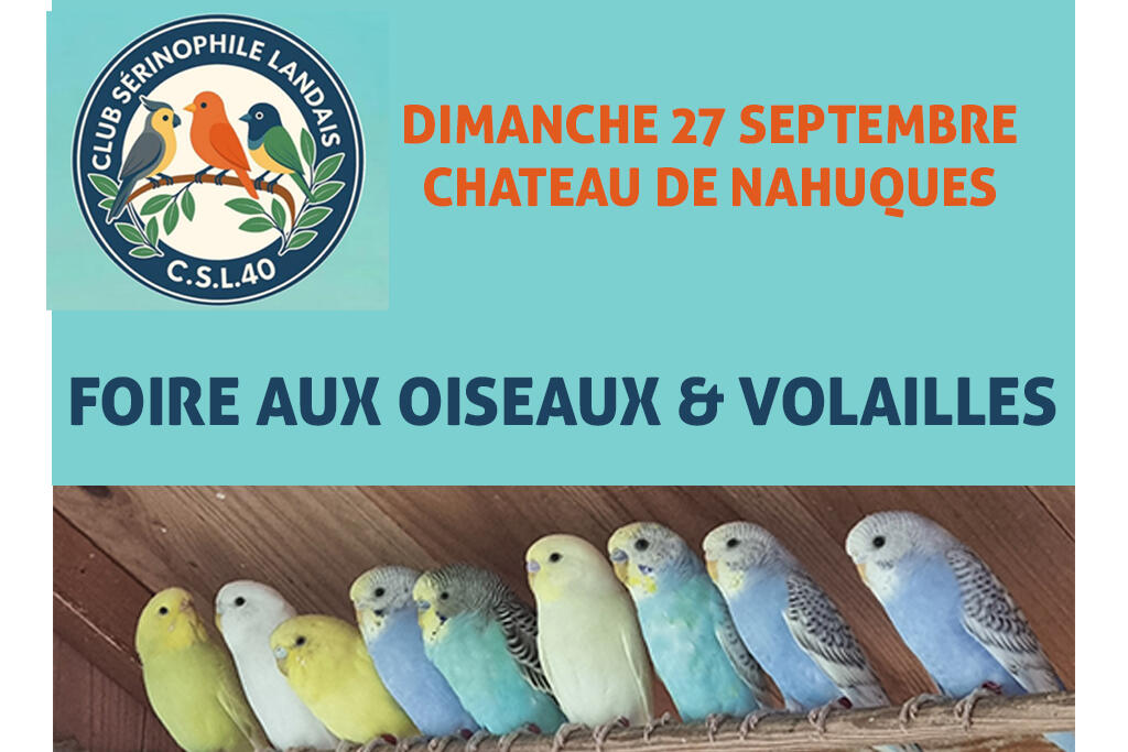 club oiseaux.jpg
