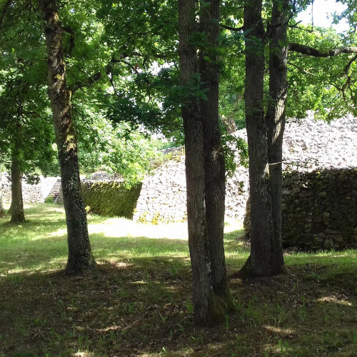 visite-guidee-camp-celtique-bierre.jpg