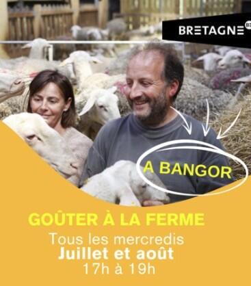 Gouter à la ferme des brebis.jpg