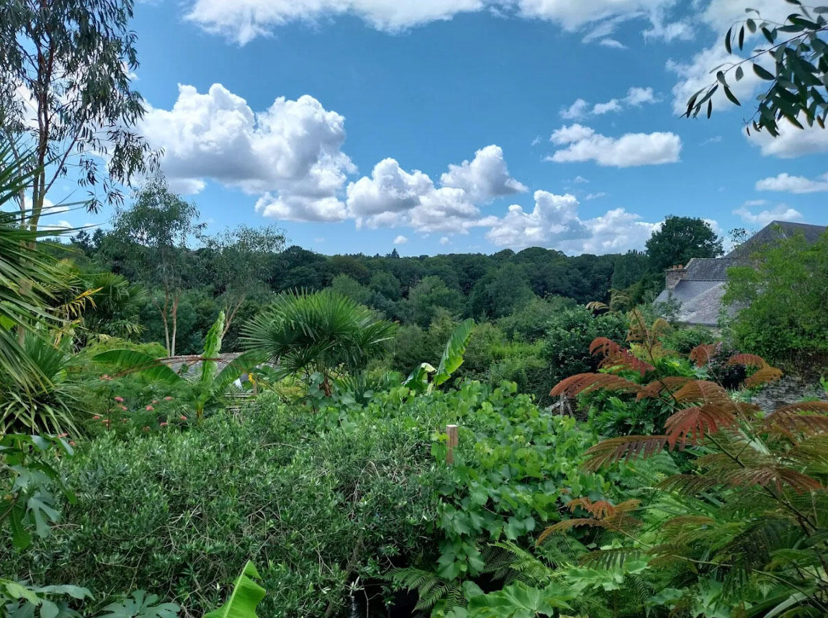 Vue de la terrasse - Rochefort-en-Terre.jpg