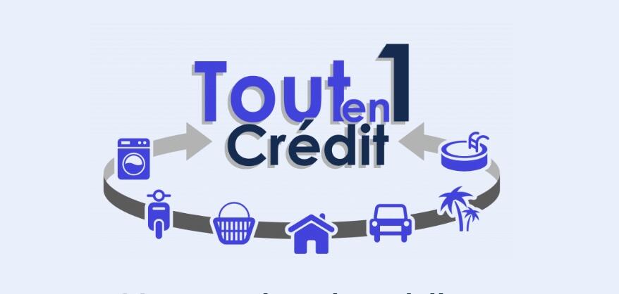 tout en 1 credit.jpg