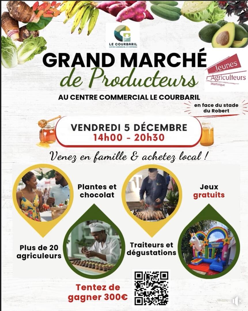 Capture d’écran 2025-11-17 à 11.11.21 Grande.jpeg