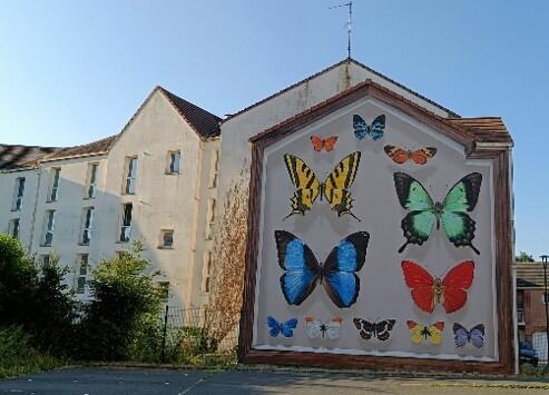 Papillons géants - Auchel.jpg