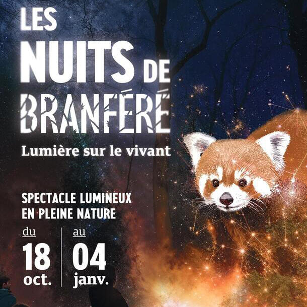 Les-Nuits-de-Branféré-Panda.jpg