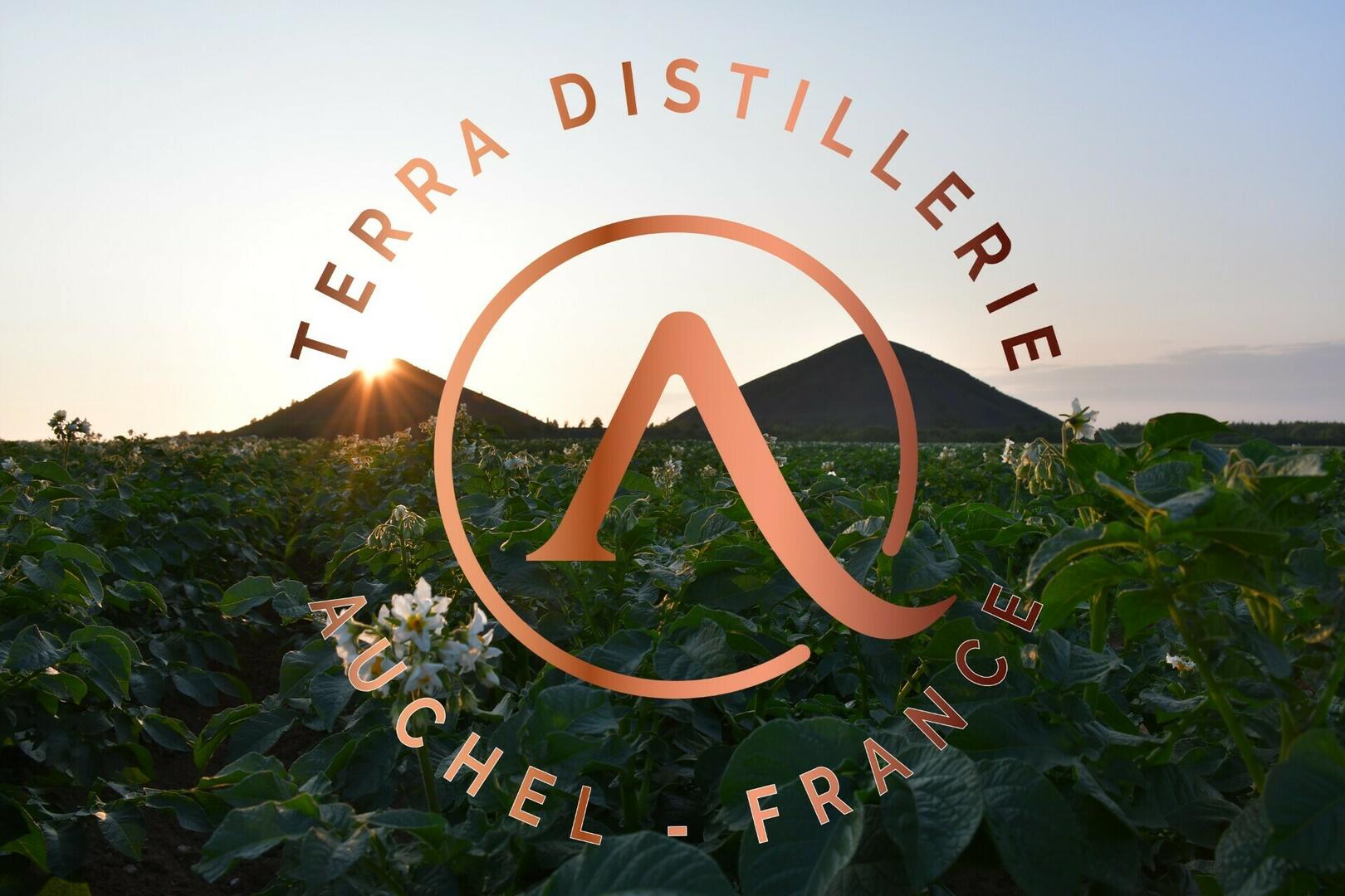 © Terra Distillerie.jpg