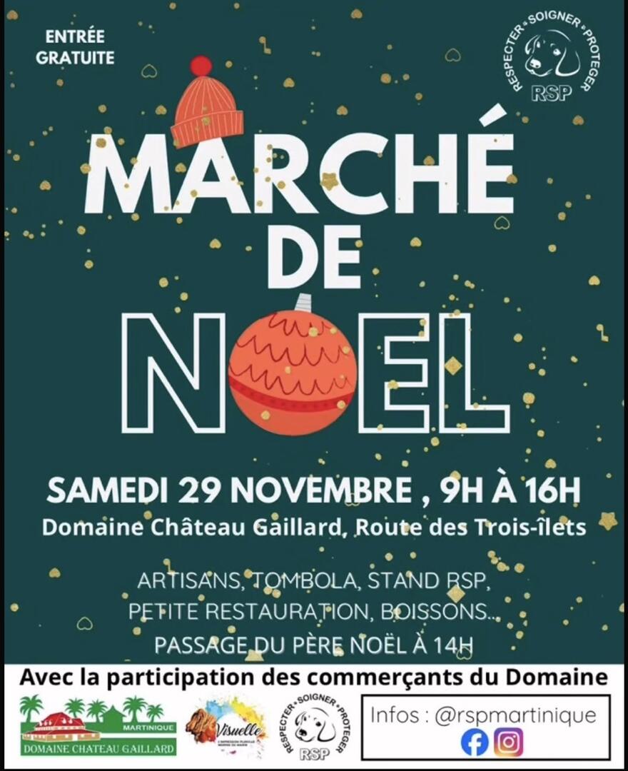 Capture d’écran 2025-11-12 à 16.23.29 Grande.jpeg