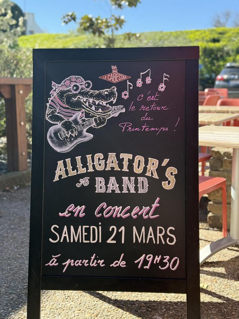 Concert Alligators band.jpg