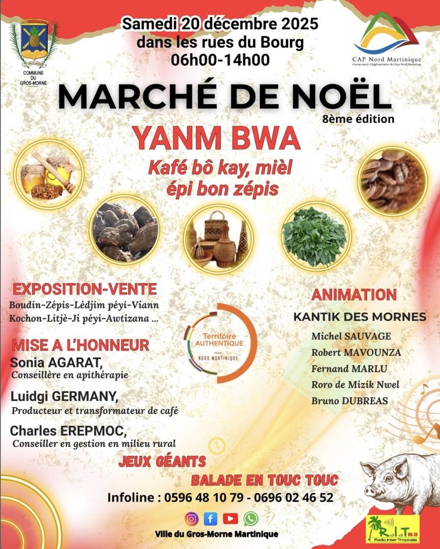 Capture d’écran 2025-12-08 à 12.57.05 Grande.jpeg