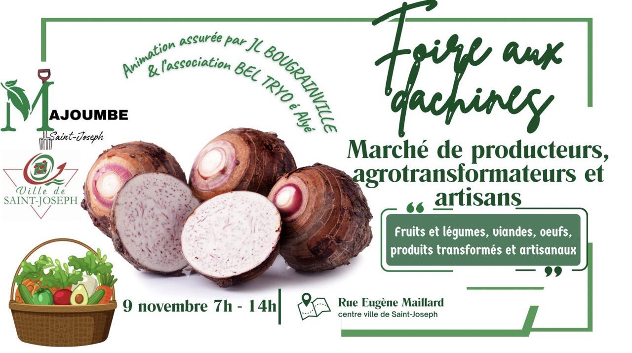 Capture d’écran 2025-11-03 à 10.16.51 Grande.jpeg