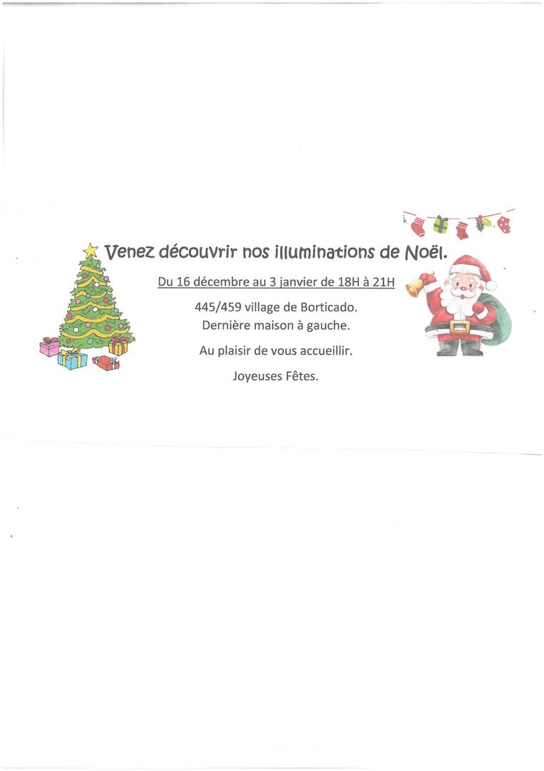 Illuminations de Noel - Borticado.jpg