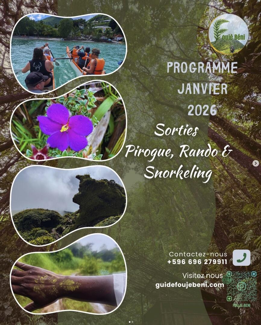 Capture d’écran 2026-01-08 à 09.20.49 Grande.jpeg