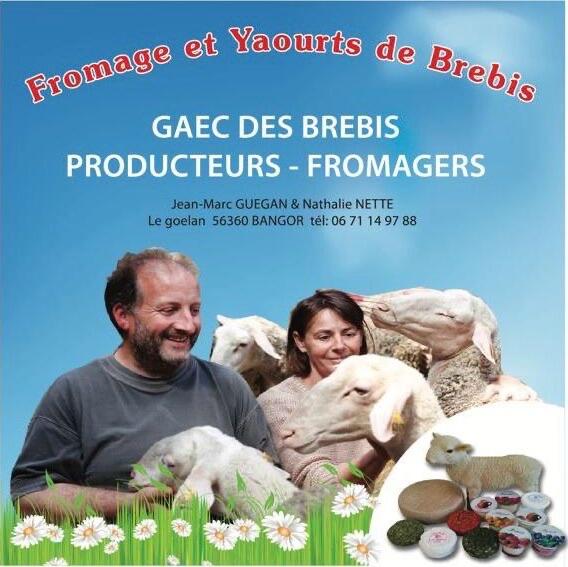 Gaec des brebis 3.jpg